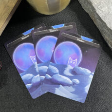 set of 3 mtg wastes land proxies